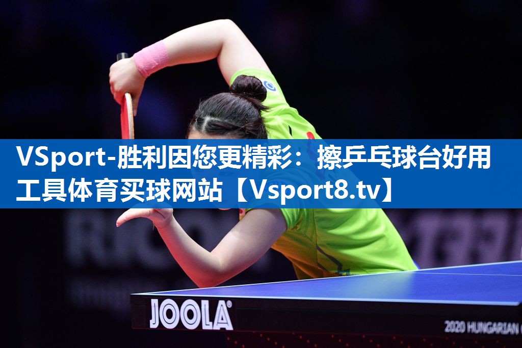VSport-胜利因您更精彩：擦乒乓球台好用工具体育买球网站