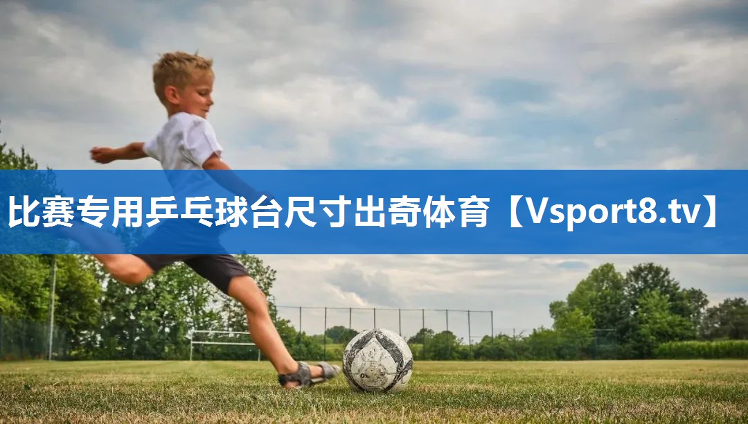 比赛专用乒乓球台尺寸出奇体育