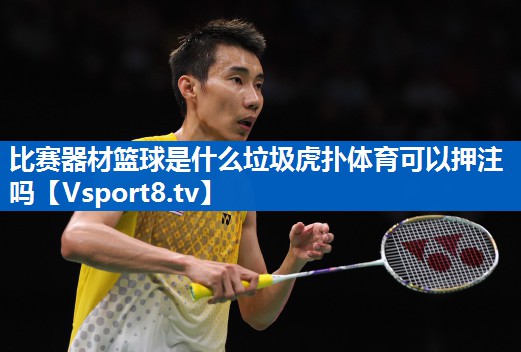 比赛器材篮球是什么垃圾虎扑体育可以押注吗