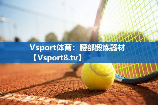 Vsport体育：腰部锻炼器材