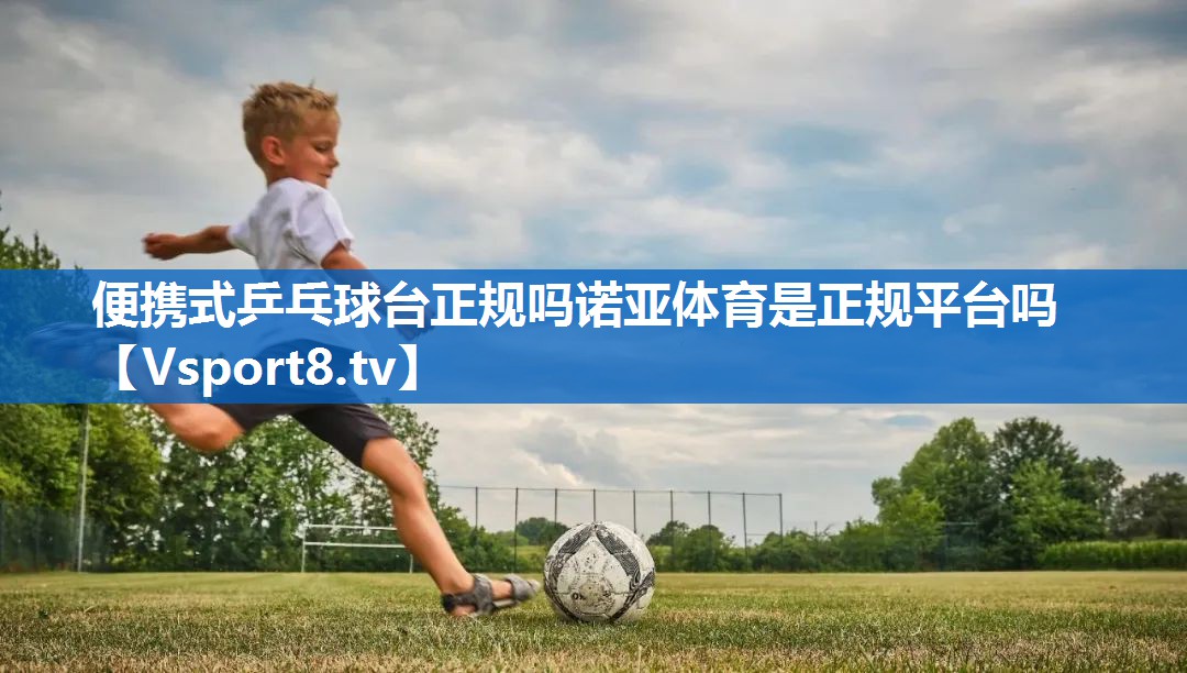 便携式乒乓球台正规吗诺亚体育是正规平台吗