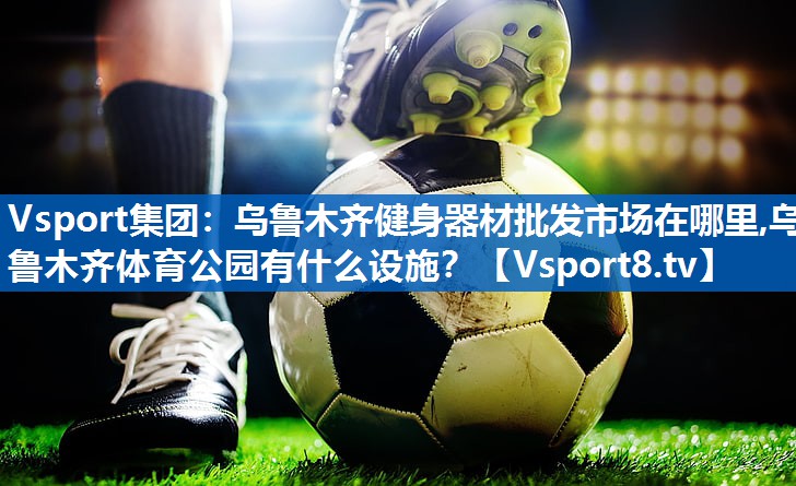 Vsport集团：乌鲁木齐健身器材批发市场在哪里,乌鲁木齐体育公园有什么设施？