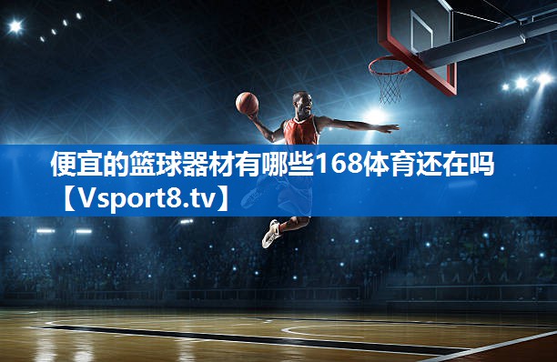 便宜的篮球器材有哪些168体育还在吗
