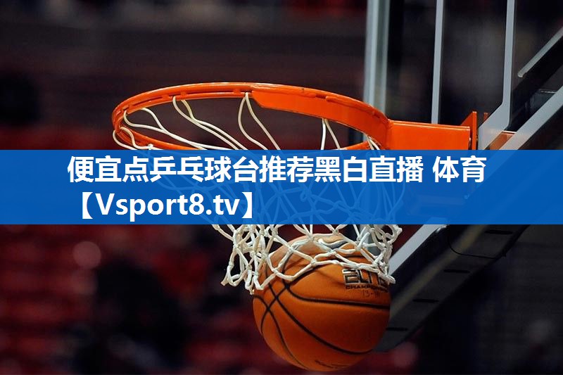 便宜点乒乓球台推荐黑白直播 体育