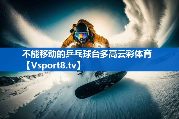 不能移动的乒乓球台多高云彩体育