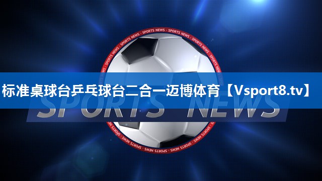 标准桌球台乒乓球台二合一迈博体育