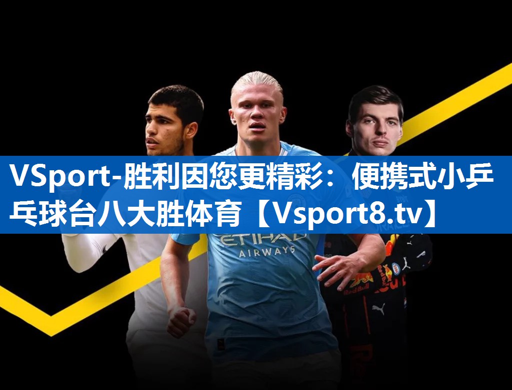 VSport-胜利因您更精彩：便携式小乒乓球台八大胜体育