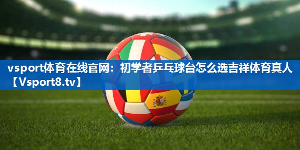 vsport体育在线官网：初学者乒乓球台怎么选吉祥体育真人