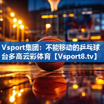 Vsport集团：不能移动的乒乓球台多高云彩体育