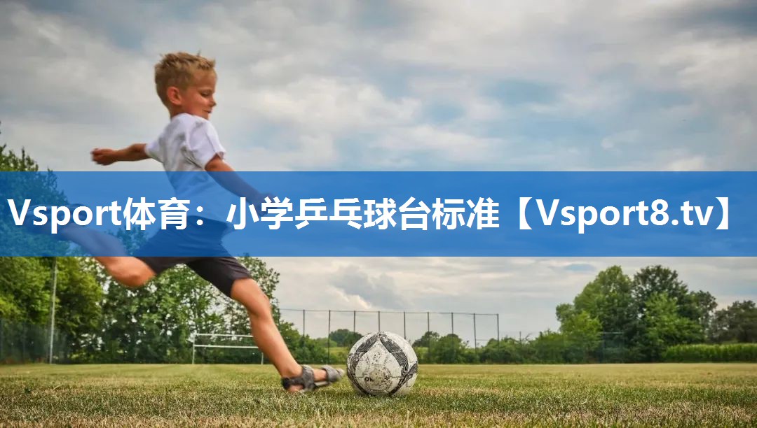 Vsport体育：小学乒乓球台标准