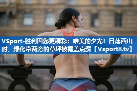唯美的夕光!日落西山时,绿化带两旁的草坪被霜盖点缀 唯美的夕光!日落西山时,绿化带两旁的草坪被霜盖点缀